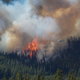 Illustration for article titled Alaskan Forest Fires Could Make Climate Change Much Worse